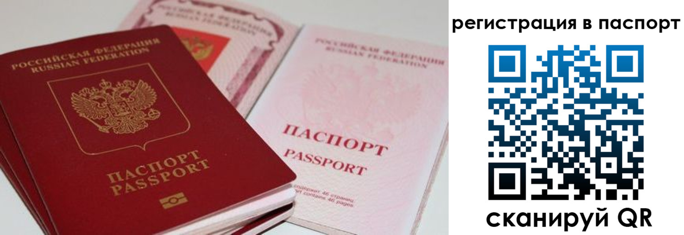 найти адрес прописки в Читинской области